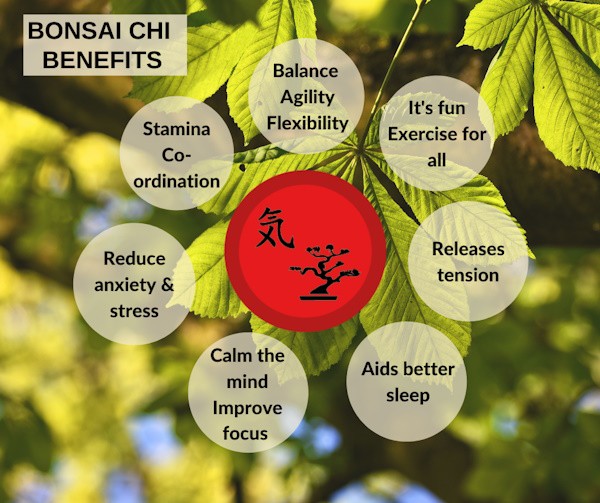 Bonsai Chi - Want to improve your fitness but don’t want to go to the gym? 